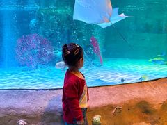 -沈阳海洋探索中心