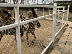-大连铭湖国际观光牧场