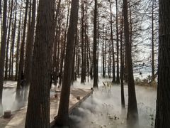 -东湖落雁景区