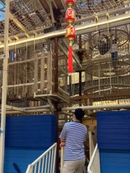 -PIPIKINGDOM皮皮王国欢乐号(欢乐海岸购物中心店)