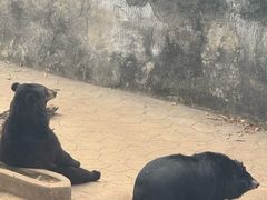 -无锡动物园·太湖欢乐园