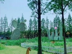 -前小桔亲子创意农场·草莓采摘·露营烧烤