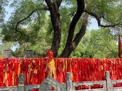 -大槐树寻根祭祖园