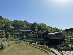 -紫鹊界梯田景区