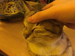 -在路上酒吧(大理古城店)