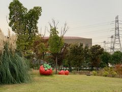 -菊园百果园