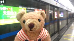 -成都市妇女儿童中心医院(中心院区)