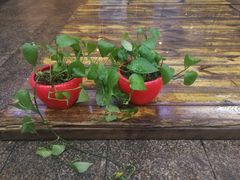 -聚汇三少·龙虾·中餐厅(莫邪路新天地店)