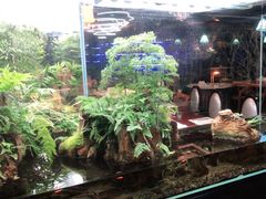 -泰谷酒店·太古码头闽菜自助餐厅