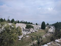 -原山国家森林公园