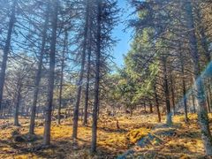 -硗碛藏寨·神木垒景区