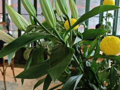 -OLLA 西班牙餐厅(丰盛里店)