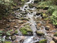 -江西阳明山国家森林公园