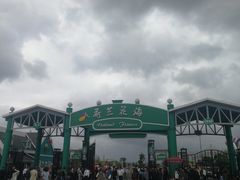 门面-荷兰花海