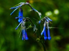 -溪口-滕头旅游景区