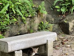 -广州市白云山风景名胜区