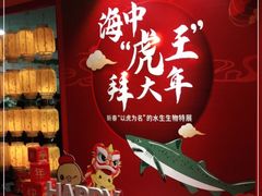 -上海海洋水族馆