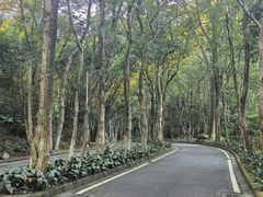 -火炉山森林公园