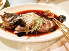 港式蒸青石斑鱼-海天楼中餐厅(吴宫泛太平洋酒店)