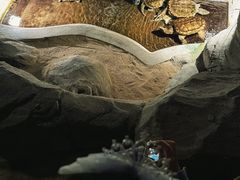 -泉城欧乐堡海洋极地世界