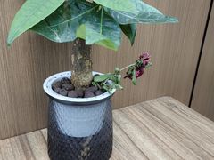 -秦镇史玉林凉皮(翡丽城店)