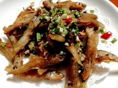 -全乐鱼馆·淳牌有机鱼直营店