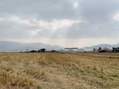 -尚田草莓姑娘白草莓采摘基地