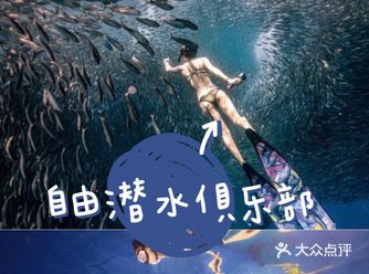 自由潜水，不来体验吗？
