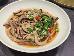 -丁老爷子苏香圆
