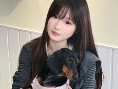 -汪说·狗咖·拼豆·宠物周边DIY(旺城大厦店)