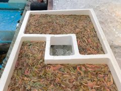 -晶晶粤西特色美食(市桥店)