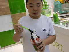-Salud撒露欧洲冻酸奶(蓝色港湾店)