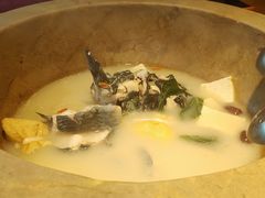 -滇小鱼·云南野生菌火锅(上杭路店)