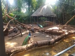 -海南热带野生动植物园