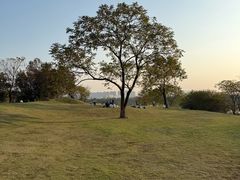 -盘龙城国家考古遗址公园