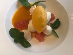 -蝶舍·MAISON PAPILLON