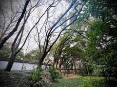 -上海佘山国家森林公园天马山园