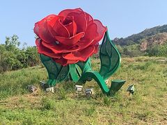-密云玫瑰情园