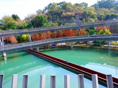 -梅峰山地公园