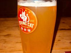 -Boxing Cat Brewery拳击猫精酿啤酒馆(永福店)