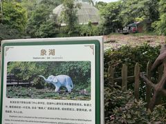 -野象谷景区