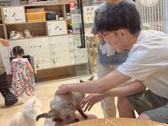 -藏猫猫咖啡主题馆(中央大道店)