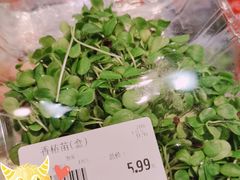 -果蔬好生活超市(乐堤港店)