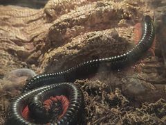 -太平洋海底世界