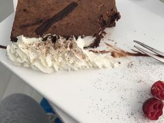 -喵的天空名猫咖啡馆·撸猫·猫舍·用品