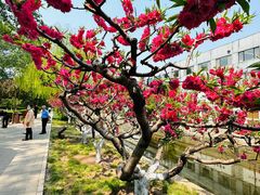 -元大都城垣遗址公园