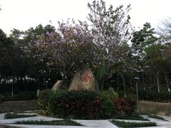-聚龙山公园