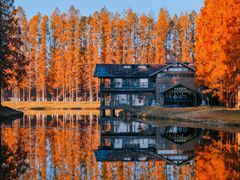 -黄海国家森林公园