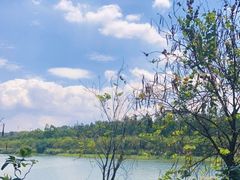 -广东花都湖国家湿地公园