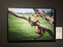 -中海环宇荟